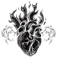 Dibujo de un corazón trazado con líneas finas, símbolo del amor